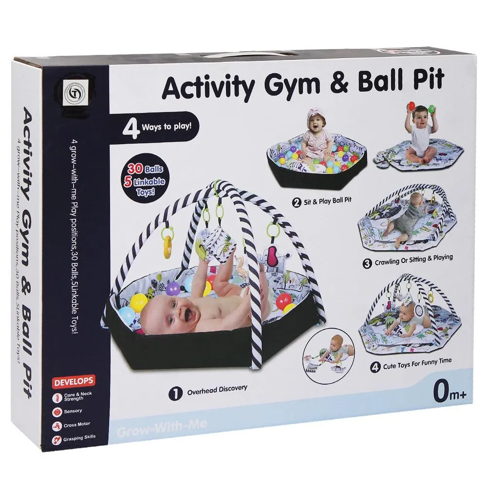 Activity Gym & Ball Pit