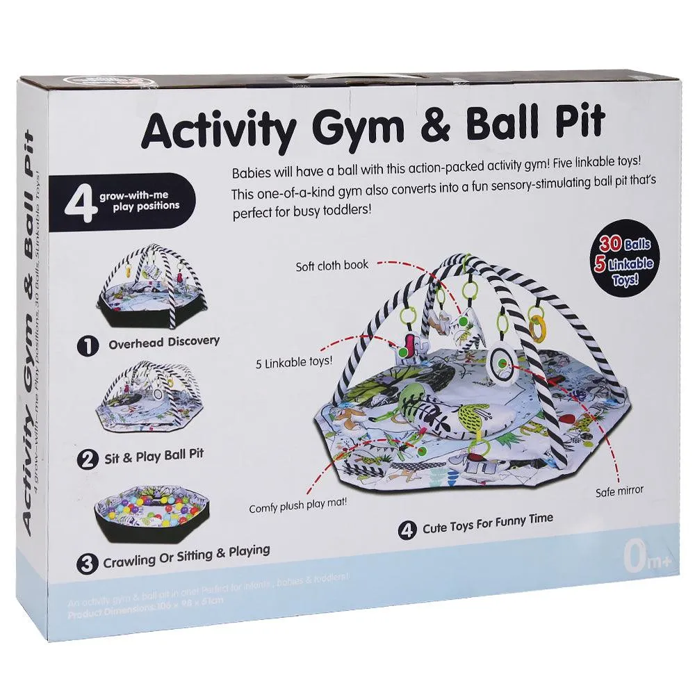 Activity Gym & Ball Pit