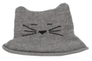 Z NW401 Grey Cat Hat